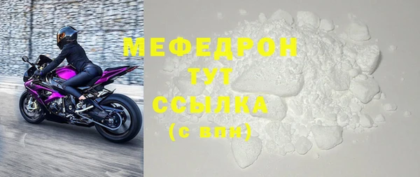 индика Новодвинск