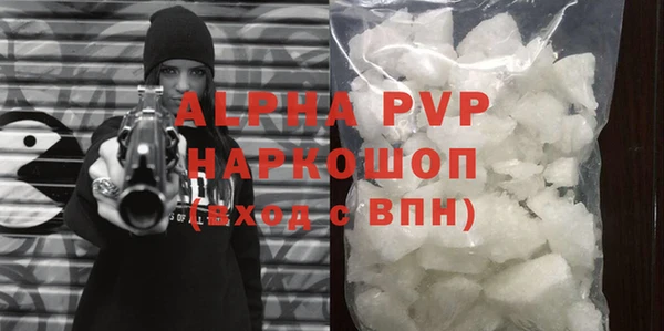 индика Новодвинск