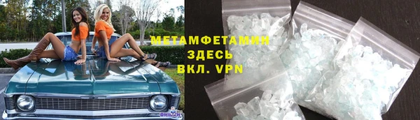 индика Новодвинск