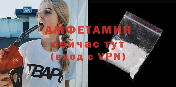крисы Новозыбков