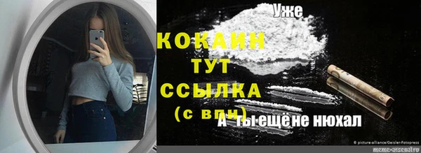 индика Новодвинск