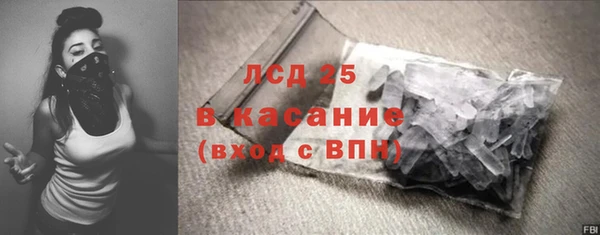 индика Новодвинск