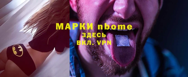 крисы Новозыбков
