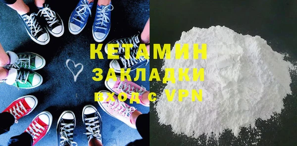 индика Новодвинск