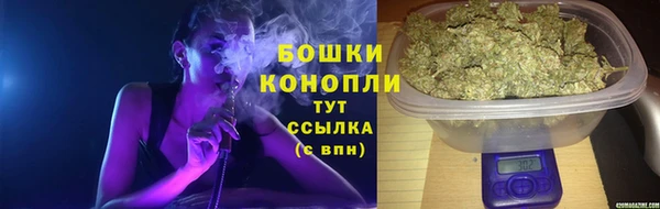 крисы Новозыбков