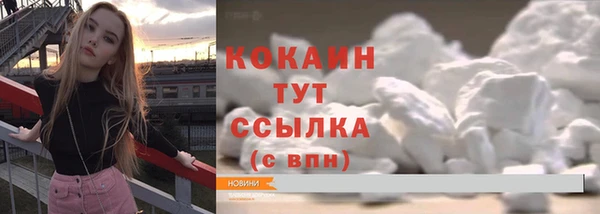 крисы Новозыбков