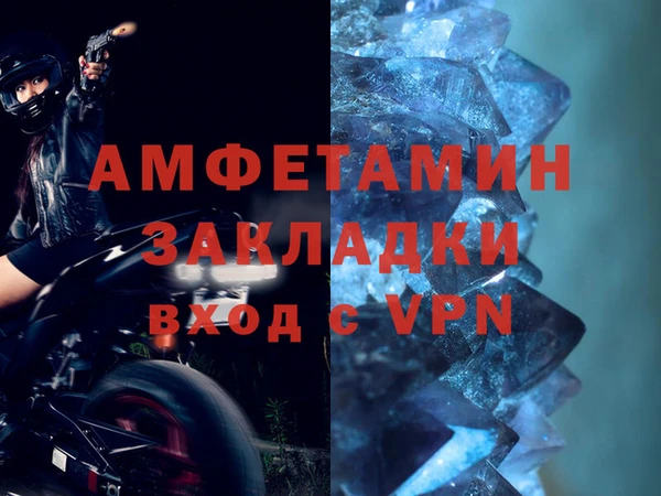 индика Новодвинск