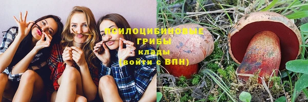 ешки Новокубанск