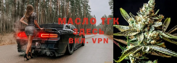 индика Новодвинск