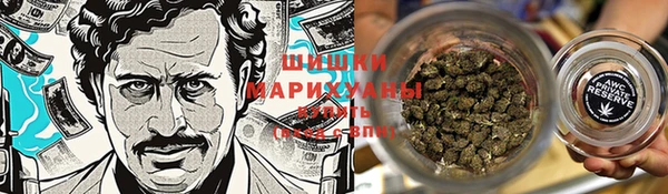 крисы Новозыбков