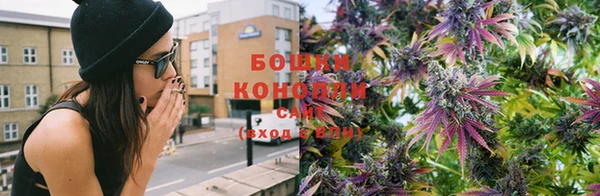 крисы Новозыбков