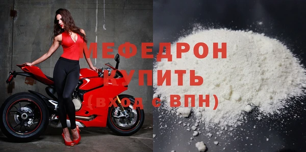 индика Новодвинск
