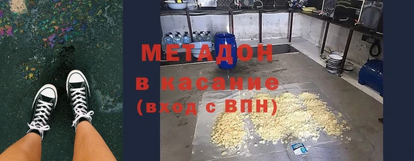 индика Новодвинск