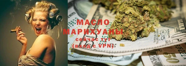индика Новодвинск