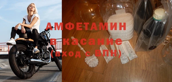 индика Новодвинск