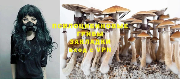 крисы Новозыбков