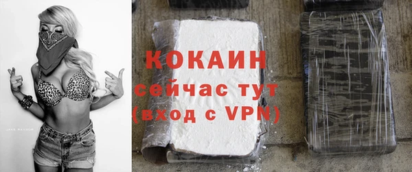 крисы Новозыбков