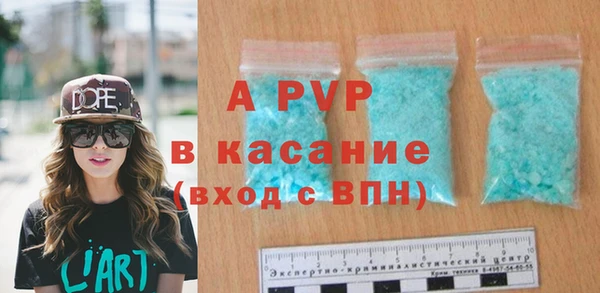крисы Новозыбков