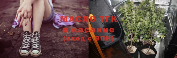 крисы Новозыбков