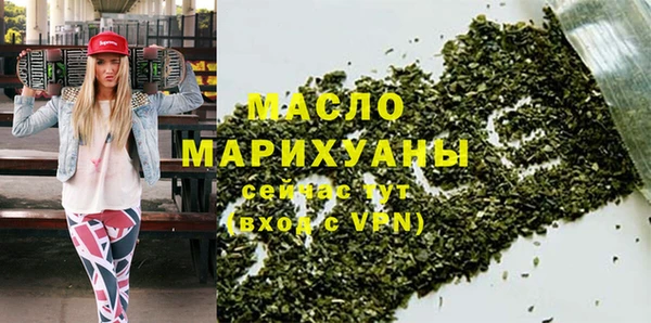 индика Новодвинск